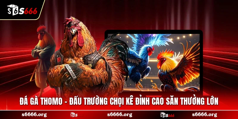 Đá Gà Thomo