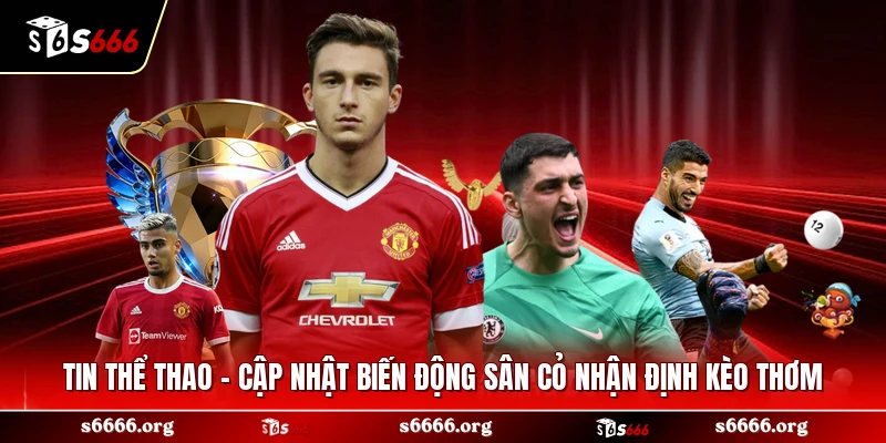 Tin Thể Thao